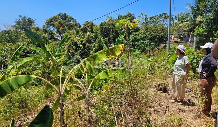 Land.for Rent.north Bali