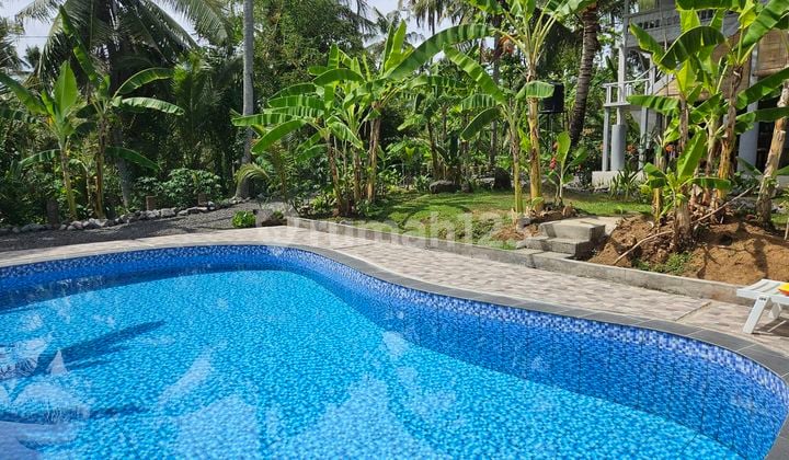 Wooden House For Rent