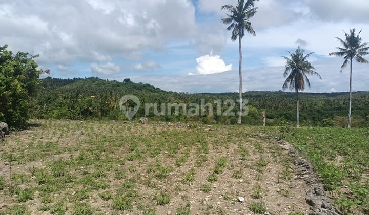 Land For Lease Only 300 Meters From Diamond Beach