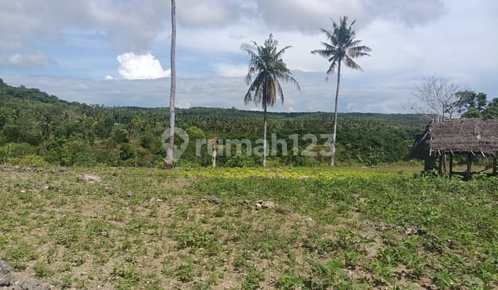 Land For Lease Long Term 30 Years + 30 Years