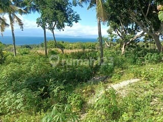 Land For Rent Bach View , Cheap Land