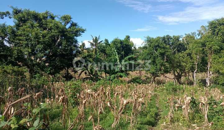 Land for rent close from port only 7 minute and beach view