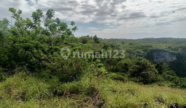 Land For Rent Nusa Penida Open For Long Term