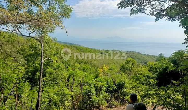 Land for rent good for resort and vill