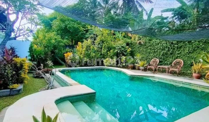 Villa north bali lovina