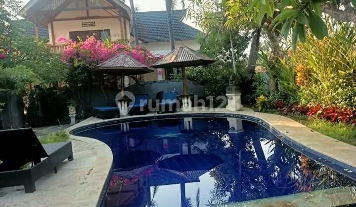 For sale hotel central lovina with big land