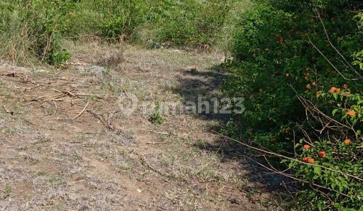 Lad For Rent Nusa Penida Cliff