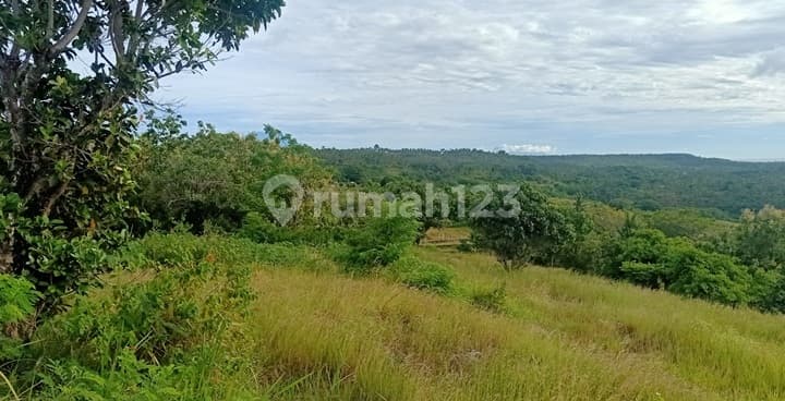 Land For Rent Cliff Nusa Penida
