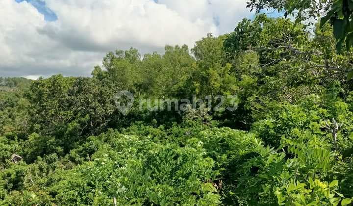 Land For Rent Cliff Nusa Penida Bali