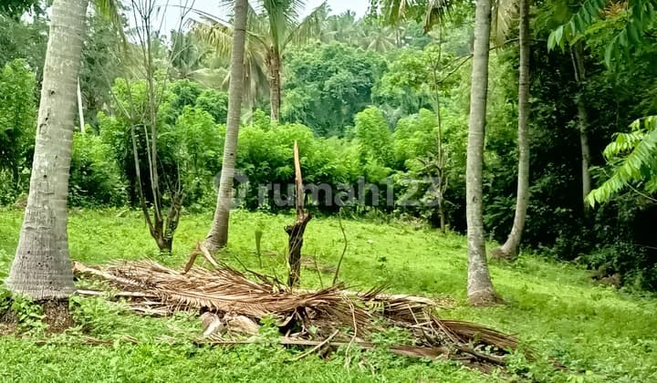 Land For Sale Good For Villa And Hotel