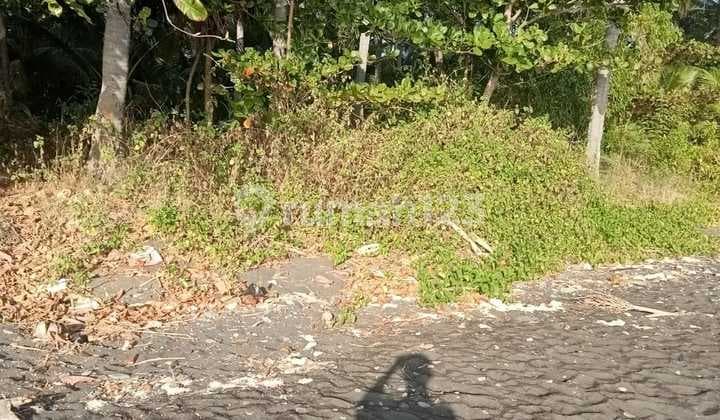 Land in Kubutambahan Others m² 100000.0