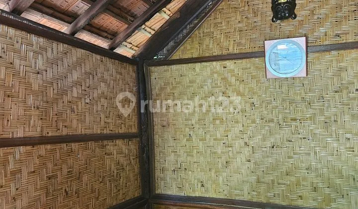 Simple House And Nature Close From Lovina