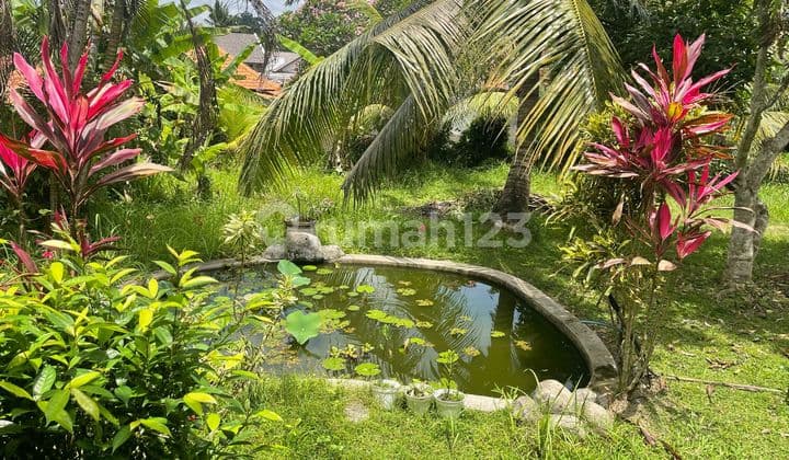 House Rent Big Land Ubud Bali