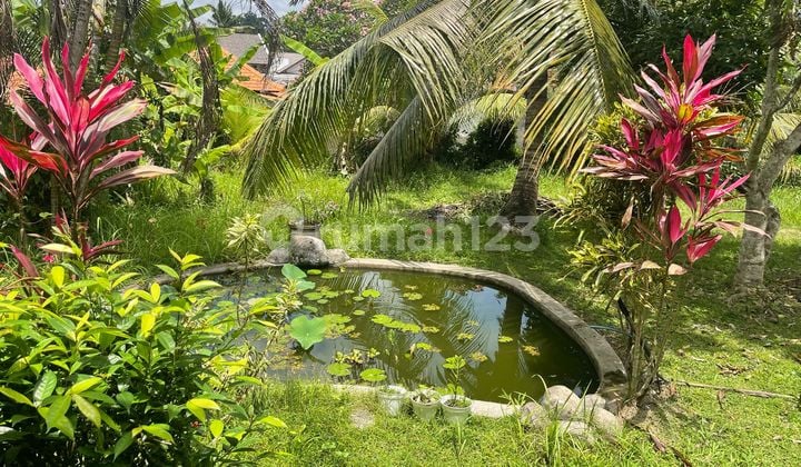 House Rent Big Land Ubud Bali
