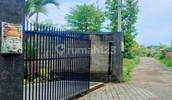 House Sale Central Lovina