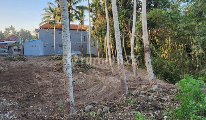 Land In Villa Complex