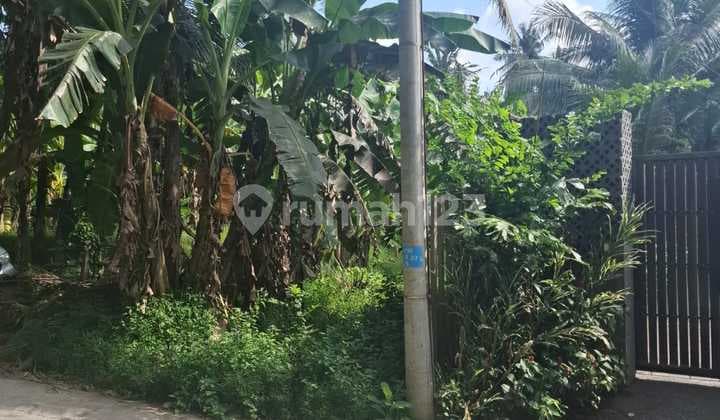 Tanah Prime di Pantai Saba - Sebelah Villa Mimpi Resort