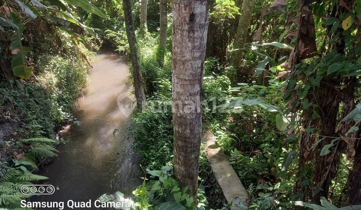 Tanah Lokasi Bagus dan Nyaman dalam Komplek Villa di Saba Gianyar