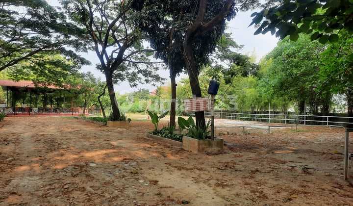 Tanah Harga di Bawah Pasaran di Cikunir Raya Jakamulya Bekasi