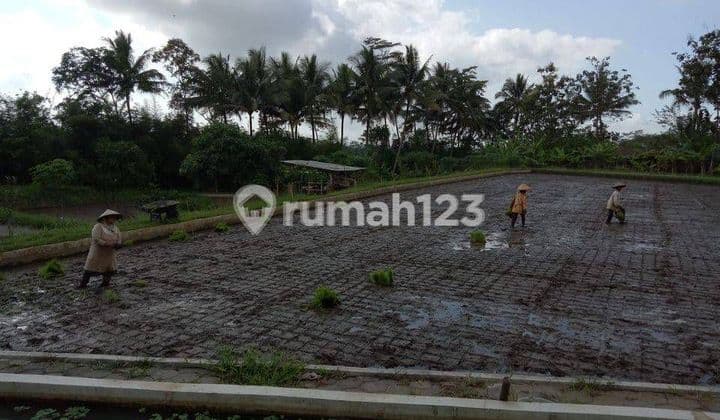 Tanah Lokasi Strategis Dijual di Jalan Raya Secang Magelang