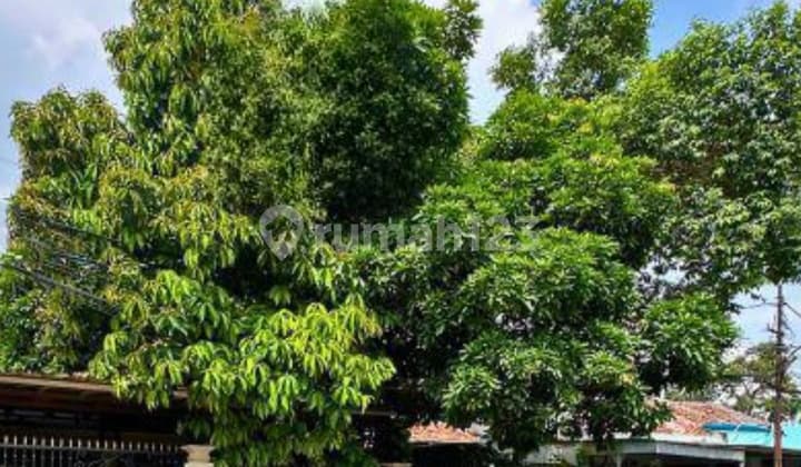 Old House Ready to Live In Flood-Free