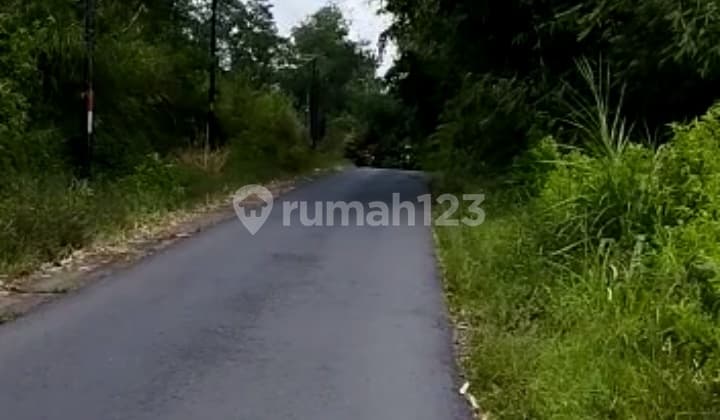 Land with a nice view, strategic location near Getasan Kopeng Tourist Area, 1255 m², Freehold Title.