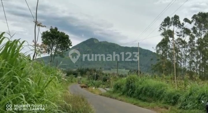 Tanah Kebun Strategis View Istimewa di Getasan Kopeng Salatiga 852 m² SHM