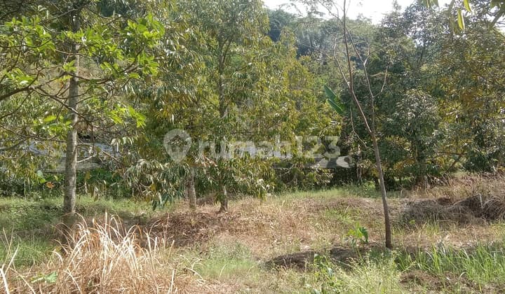 Tanah di Banyubiru Ambarawa Kabupaten Semarang