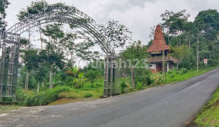 Tanah Kebun Kopi di Jalan Sumowono - Jambu Ambarawa