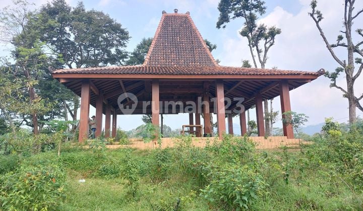 Tanah Kebun Durian Di Limbangan Boja Kendal