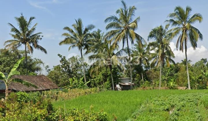 Bandungan View Land Mountain and Rural Atmosphere