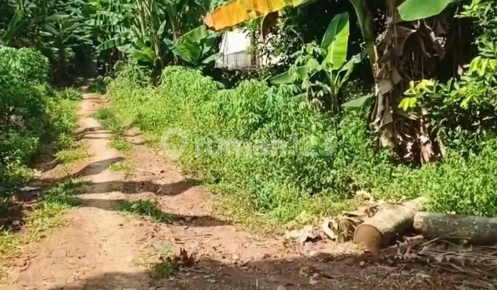 Tanah Kavling Perumahan Dekat Kampus Unnes Gunung Pati Semarang