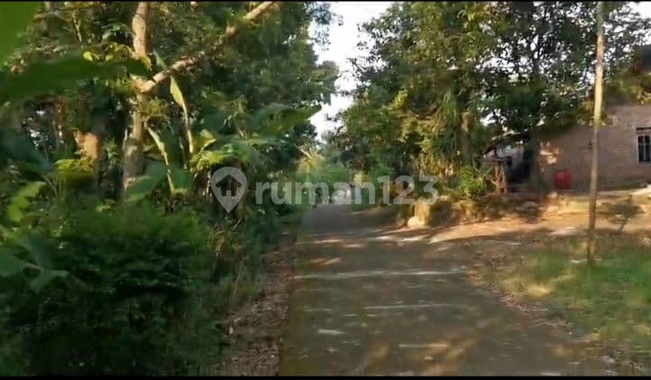 Tanah Pekarangan di Bringin Kabupaten Semarang