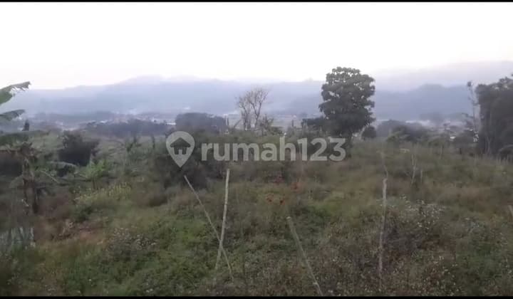 Tanah Kebun Cocok Untuk Villa Di Sumowono Bandungan Semarang