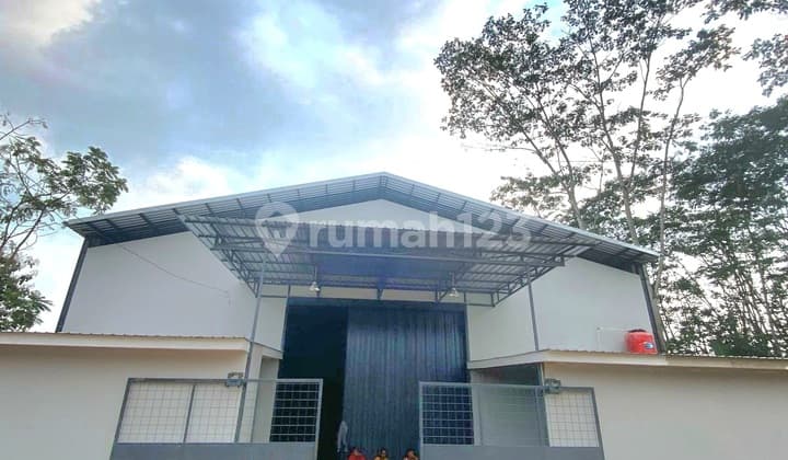 Gudang Disewakan / Dijual Di Jatibarang Mijen Kota Semarang