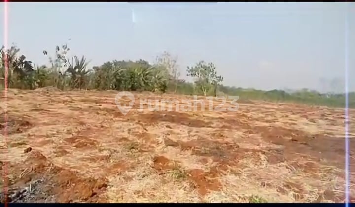 Tanah Industri Di Jepara Cocok Untuk Gudang Pabrik