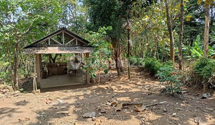 Dijual Tanah di Dawe Kudus