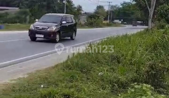 X005-tanah 1 Ha 500 M Ke Tol Di Kandis, Siak Riau