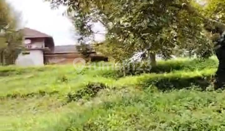 L079-Kebun Duren, Luas 6 Ha, di Bandung, Per Panen Rp 1,8M