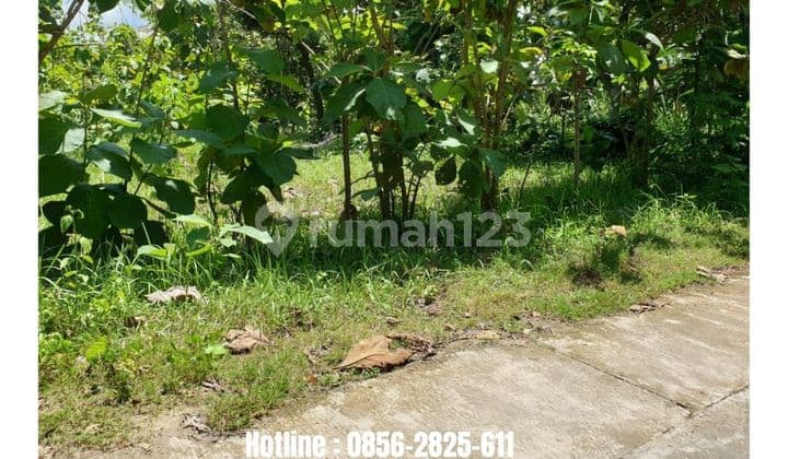 Tanah Kavling Strategis Lokasi Di Bambanglipuro Bantul Yogyakarta