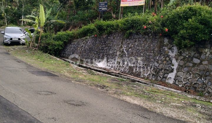 Jual Cepat Dan Murah Lahan Cantik Di Desa Sukawangi Kec.sukamakmur Bogorur