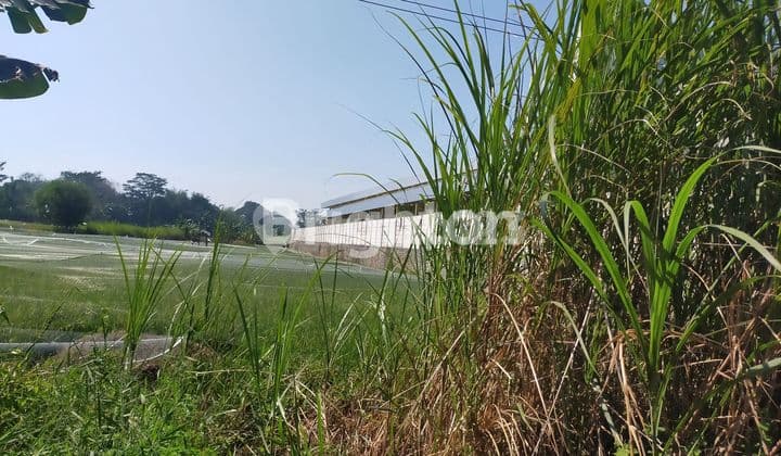 Investasi Tanah Kosong Cerdas dan Murah, Pinggir Jalan Propinsi Dekat Pintu Tol Mangkang Semarang