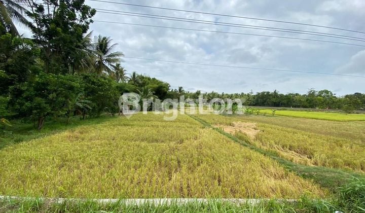 INVESTASI MENGUNTUNGKAN TANAH KOSONG PINGGIR JALAN NASIONAL WATES PURWOREJO