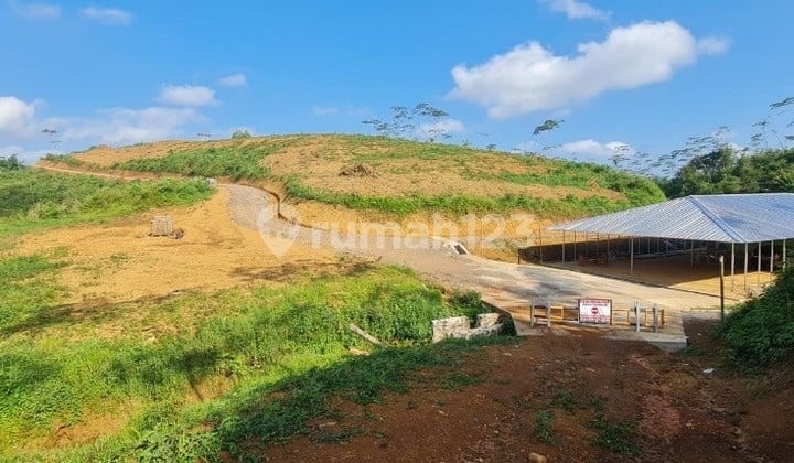 Dijual Lahan di Cianjur Luas Sekitar 56 Hektar Harga : 25M Nego