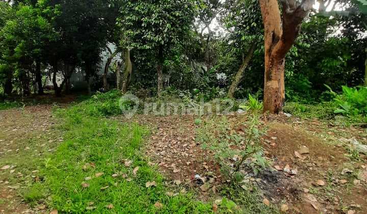 Kavling Murah Dekat Villa Pamulang Mas Bebas Banjir Siap Bangun