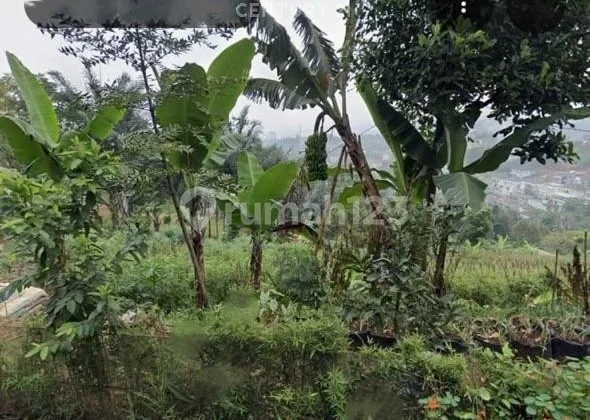 DIJUAL CEPAT KAVLING CIHALARANG BANDUNG BEST PRICE DIJUAL CEPAT KAVLING CIHALARANG BANDUNG BEST PRICE