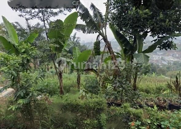 DIJUAL CEPAT KAVLING CIHALARANG BANDUNG BEST PRICE