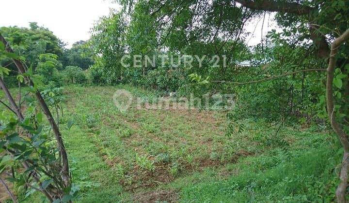 Dijual Tanah Bali Utara Lokasi Strategis Bebas Banjir