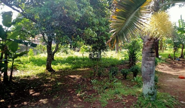 Land in Palagan, Bawen, near Bawen terminal.