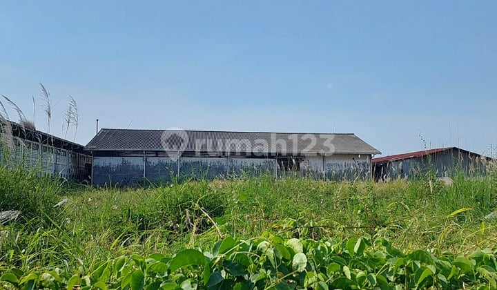 Tanah Luas 3780 M di Semarang Barat Dekat Jalan Arteri dan Pelabuhan